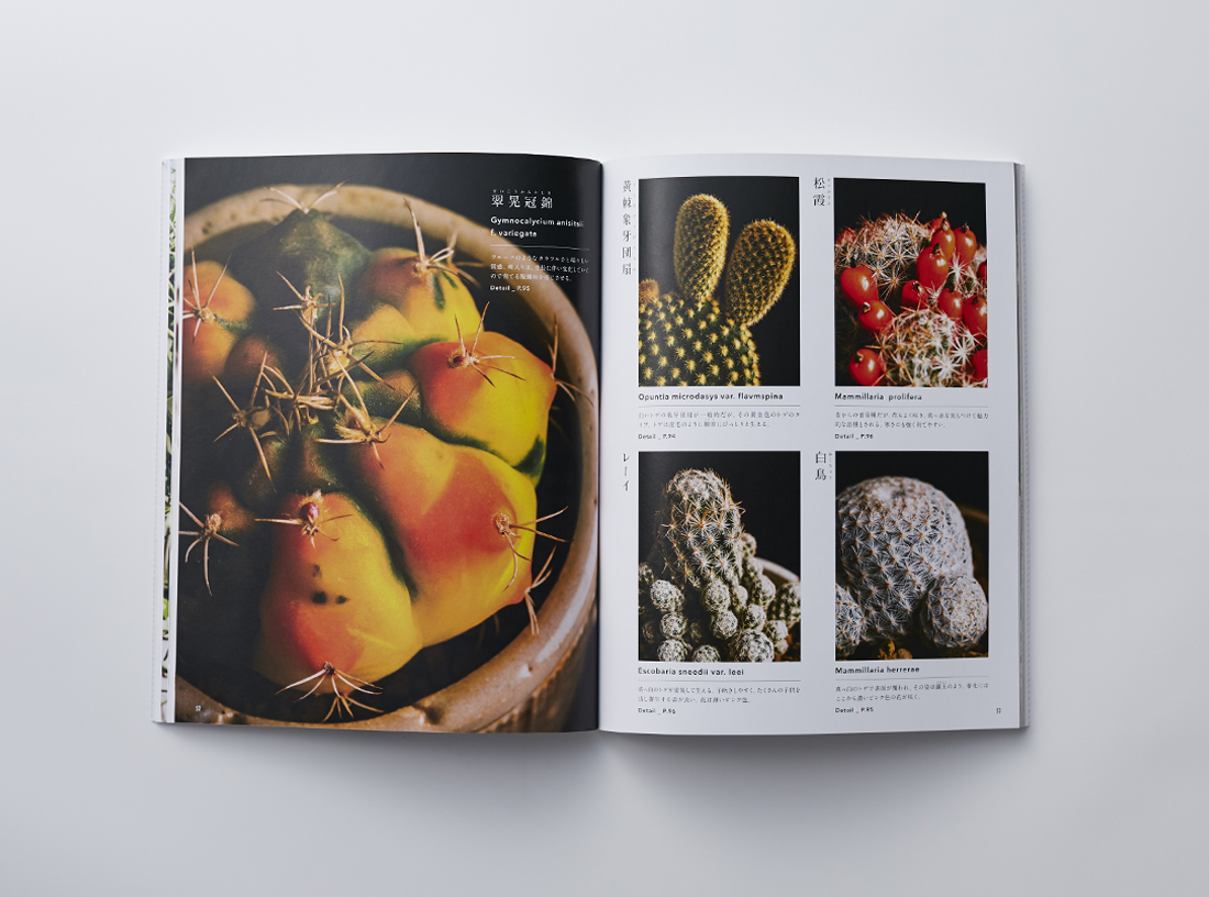 多肉植物・サボテン図鑑